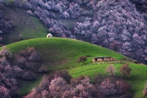 Những khu rừng xanh mướt đẹp tựa thiên đường