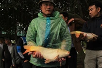 Kỳ tích nuôi cá “đẻ” ra tiền Tỷ