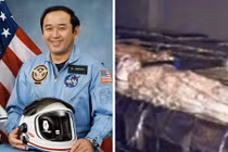 Phi hành gia NASA nhìn thấy “xác chết người ngoài hành tinh”?