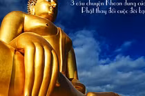 3 câu chuyện khoan dung của đạo phật thức tỉnh tâm hồn 