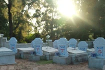 Thăm nghĩa địa cá voi linh thiêng nhất Việt Nam