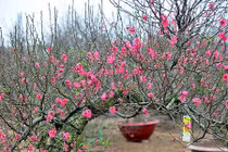 13 chiêu hóa giải vận đen cực hiệu quả, đã giải là hết đen 