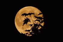 Ma quỷ thực sự tồn tại trong tháng 7 âm lịch? 