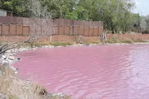 Vì sao hồ nước 10 ha chuyển màu tím ở Bà Rịa - Vũng Tàu