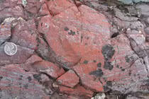 Phát hiện hóa thạch khẳng định sự sống từ vài tỷ năm trước