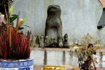 Kỳ lạ ngôi làng ở ngoại ô Hà Nội kêu oan với... chó đá