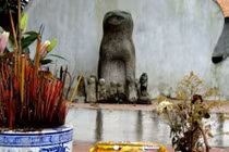 Kỳ lạ ngôi làng ở ngoại ô Hà Nội kêu oan với... chó đá