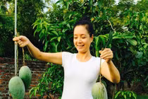 Nhà vườn bạt ngàn cây ăn quả của gia đình Chiều Xuân