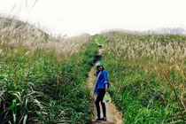 Ảnh: Đồi cỏ lau trắng lãng mạn trên “sống lưng khủng long“