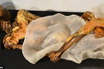 Những lời nguyền xuyên thế kỷ xung quanh xác ướp cổ 