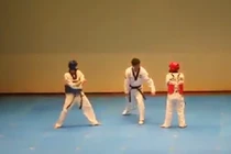 Màn thi đấu Taekwondo “bá đạo” nhất thế giới
