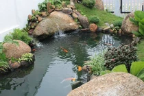 Bố trí dòng nước trong vườn để sinh tài lộc, may mắn đầy nhà 