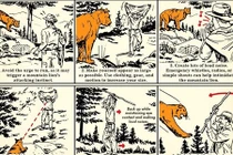 Đối mặt với sư tử, làm thế nào để sống sót?