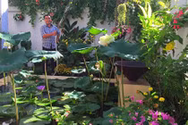 Biệt thự trắng triệu đô đẹp mê mẩn của vợ chồng Quyền Linh