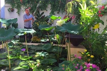 Biệt thự trắng triệu đô đẹp mê mẩn của vợ chồng Quyền Linh