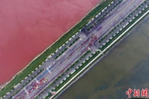 Lạnh người với hồ muối 4.000 năm biến thành “hồ máu“ 