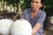 5 đặc sản ở vùng cao Quảng Ngãi không phải ai cũng biết