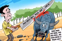 Chém đàn trâu phá hoa màu, người đàn ông bị xử tội gì?