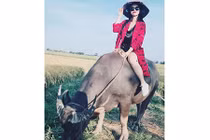 Đông Nhi cưỡi trâu “đốn tim” triệu fan