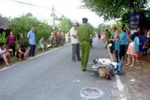 Định tội ngựa kéo xe gây tai nạn chết người