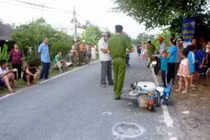 Định tội ngựa kéo xe gây tai nạn chết người