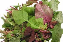 Đi tìm sự thật ăn rau dền bị cháy đen mặt