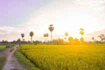Ảnh đẹp miền sông nước An Giang bình dị mà hút hồn người