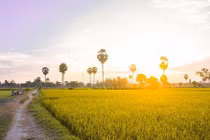 Ảnh đẹp miền sông nước An Giang bình dị mà hút hồn người