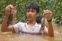 Chùm ảnh: Ngụp lặn trong nước lũ săn món chuột đặc sản