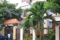 Những loại cây nên trồng trước nhà để đón tài lộc, xua tà khí