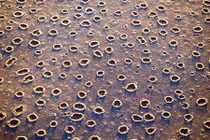 Bí ẩn những bức ảnh gây sốc trăm năm không lời giải 