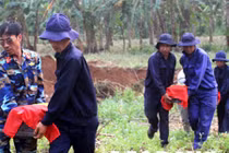 Kỳ lạ những giấc mơ đội quy tập hài cốt liệt sĩ