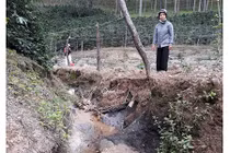 Dân kêu cứu vì cống thoát nước gây thiệt hại vườn cà phê