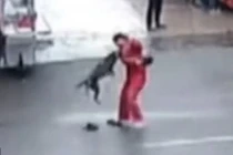 Chó dữ điên loạn tấn công 20 người trên đường