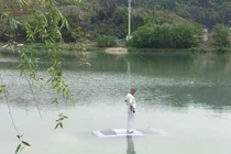 Chết cười với người đàn ông lao ô tô xuống hồ chỉ vì lý do ngớ ngẩn