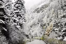 Đến nơi đón giáng sinh ở Việt Nam không khác Âu châu