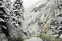 Đến nơi đón giáng sinh ở Việt Nam không khác Âu châu