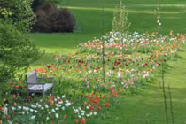 Những cách thiết kế vườn nhà tuyệt đẹp của người dân nước Bỉ