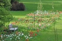 Những cách thiết kế vườn nhà tuyệt đẹp của người dân nước Bỉ