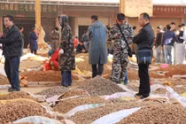 Khu chợ chất như núi loại củ quý đến nỗi "vàng không đổi"