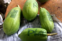 Hé lộ "chiêu" in chữ lên đu đủ ở miền Tây đón Tết