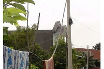 300 hộ dân than trời vì nhiều năm mua điện giá "cắt cổ"