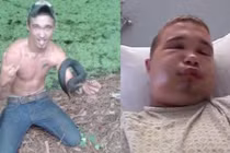 Nuôi rắn độc làm thú cưng lấy le với bạn gái và cái kết đắng