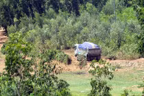 Vợ nghi can vụ thảm sát 4 người ở Lào Cai khai gì?