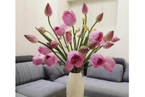 Trang trí nhà cửa trong tháng cô hồn thế nào để rước may mắn? 