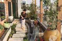 Ngắm ngôi nhà ven Hồ Tây có vườn sân thượng đẹp như tranh