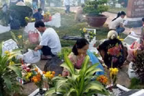 Vì sao có tục tảo mộ, ăn đồ nguội ngày tiết Thanh Minh? 