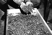 Ngỡ ngàng đoàn tàu ma chất đầy kho báu của Đức quốc xã 