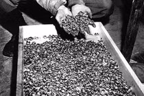 Ngỡ ngàng đoàn tàu ma chất đầy kho báu của Đức quốc xã 