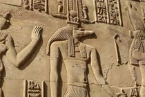 Phát hiện cá sấu không đầu trong mộ cổ Ai Cập 3.400 năm